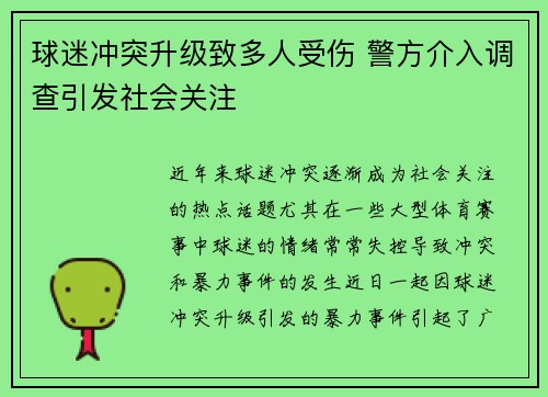 球迷冲突升级致多人受伤 警方介入调查引发社会关注